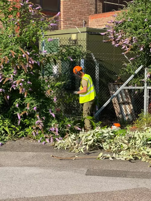Vegetation Clearance | Epson