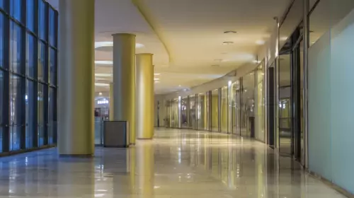 Industry-Leading Expertise